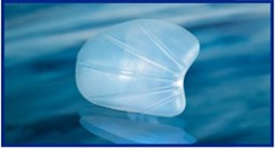 Standard Temporal Implant Dr Barry Eppley Indianapolis